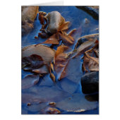 À l'intérieur, Feuille (Devant)