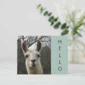 A Llama Hallo Briefkaart (Staand voorkant)
