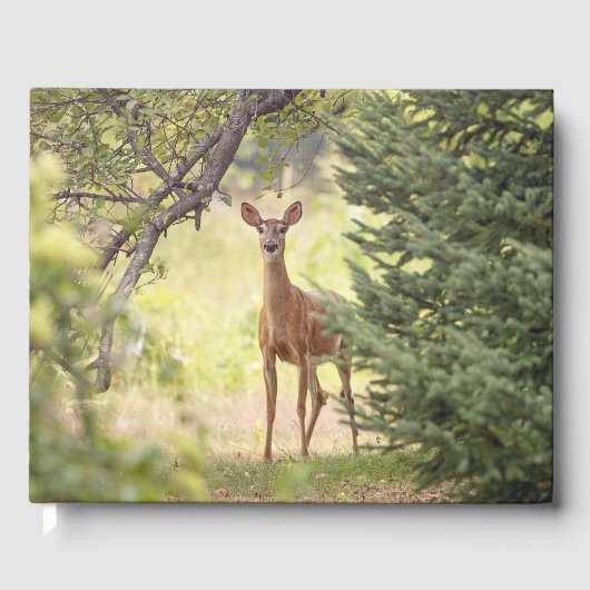 A Lone Deer Persoonlijke naam en datum Gastenboek (Voorkant)