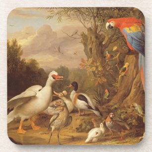 A Macaw, Ducks, Parrots en andere vogels in de dee Onderzetter