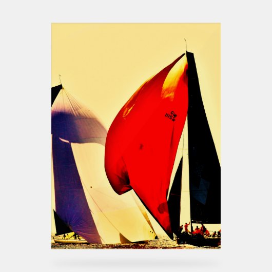 A magnific Poster for your living room, bedroom (Recto)