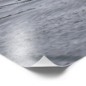 A Mallard duck flapping her wings Foto Afdruk (Hoek)