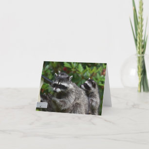 A Mama Raccoon en haar Baby Kaart