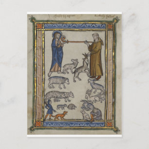A Medieval Bestiary Briefkaart