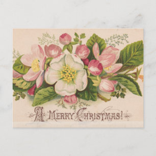 A Merry Christmas Apple Blossoms Briefkaart
