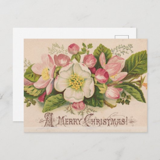 A Merry Christmas Apple Blossoms Briefkaart (Voorkant / Achterkant)