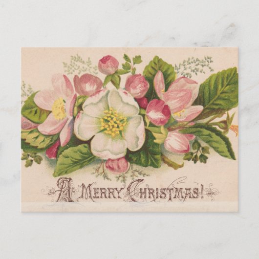 A Merry Christmas Apple Blossoms Briefkaart (Voorkant)