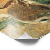 A Mother Rabbit and her Young by Alfred Barber Foto Afdruk (Hoek)