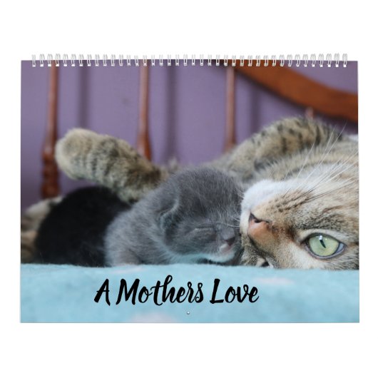 A MOTHERS LOVE MAMACAT & HER KITTENS KALENDER (Hoes)