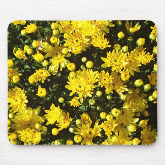 A Multitude of Yellow Mums Muismat (Voorkant)