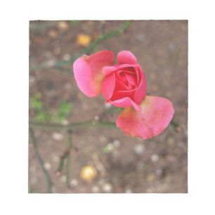 A November rosebud Notitieblok