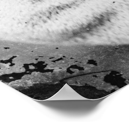 A.P. Hill Poster (Hoek)