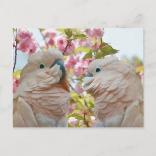 A Paar of Parrots and Crab Apple Blossom Briefkaar Briefkaart