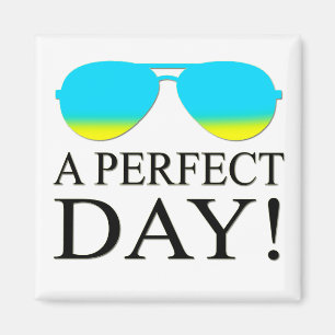 A-PERFECT-DAY-SUNGLASSEN MAGNEET