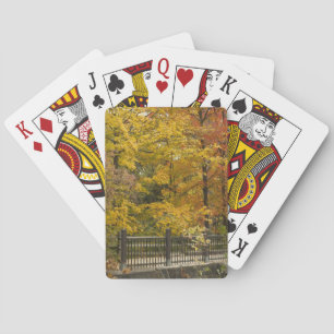 a pokerkaarten