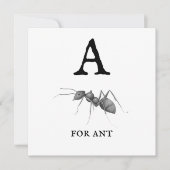 "A" pour la carte plat d'ant (Devant)