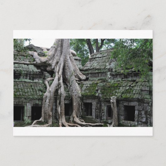 a prohm tempel in cambodja briefkaart (Voorkant)