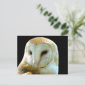 A propos de la carte postale de la Chouette de l'é (Debout devant)