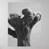 A Rare Saguaro Cactus Poster (Voorkant)