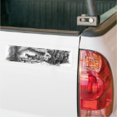 A Ride Through Central Park Bumper Sticker (Sur camion)