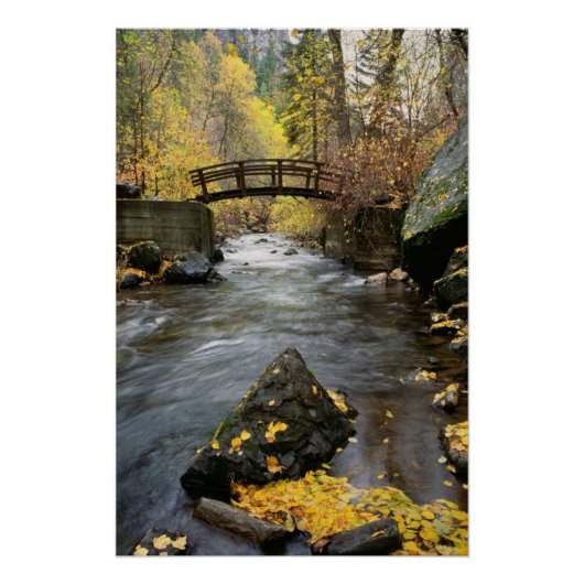 A River Running Through American Fork Canyon Perfect Poster (Voorkant)