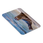 A seal on a beach along the Pacific Coast Magneet (Rechterzijde)
