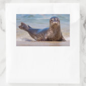 A seal on a beach along the Pacific Coast Rechthoekige Sticker (Tas)