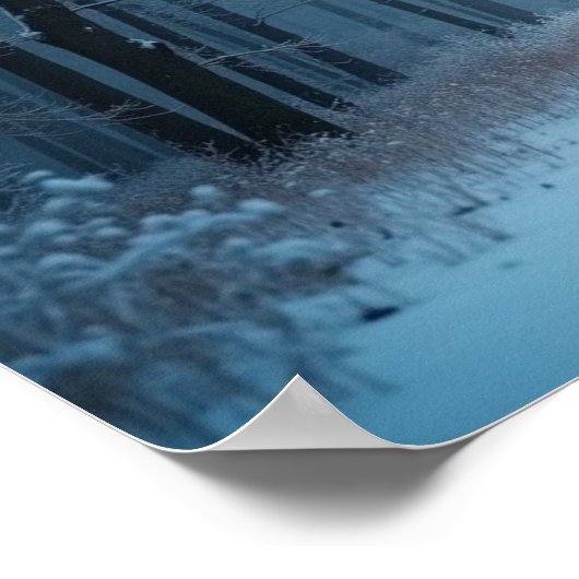 A Serene Path Through a Snow-Covered Forest Poster (Hoek)