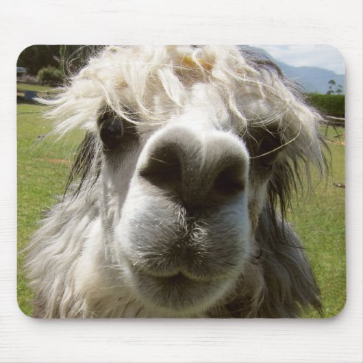 A Shaggy Alpaca Muismat (Voorkant)