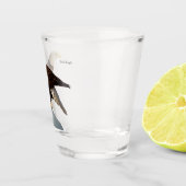 A Shot Bald Eagle verre abattu (Droite)