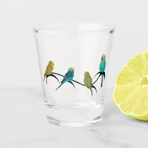A Shot Budgie Frenzy - Verre cadeau