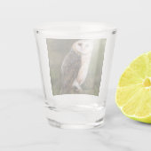 A Shot Chouette de la grange en verre (Dos)