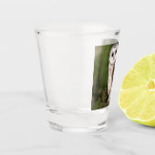 A Shot Chouette de la grange en verre (Gauche)