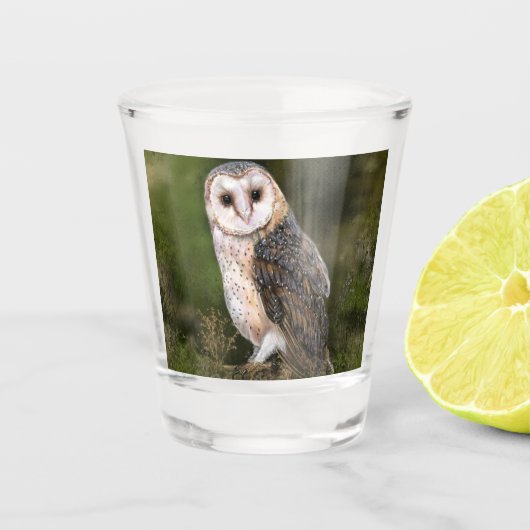 A Shot Chouette de la grange en verre (Devant)