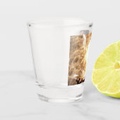 A Shot Feux d'artifice 15 verre tourné (Gauche)