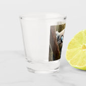 A Shot Joyeux Ours Koala Australien Dans L'Arbre, Verre T (Gauche)