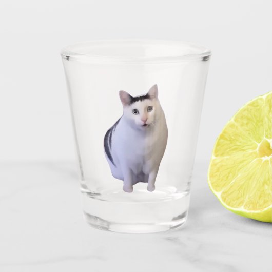 A Shot Mème Chat Huh en verre de tir (Devant)