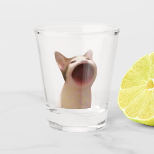 A Shot Mème de chat de chats en verre (Devant)