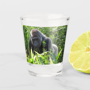 A Shot Silverback Gorilla Verre de tir