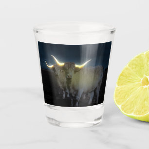 A Shot Vaches des Highlands éclairées dans le noir, verre