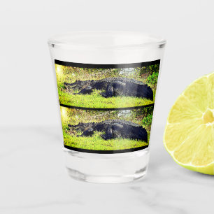 A Shot Verre à liqueur d'alligator de marais