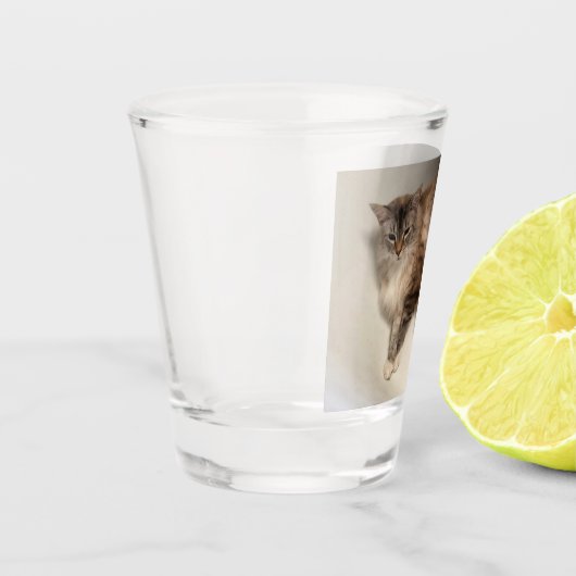 A Shot Verre de capture de chat (Gauche)