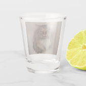 A Shot Verre de capture de chat Calico (Dos)