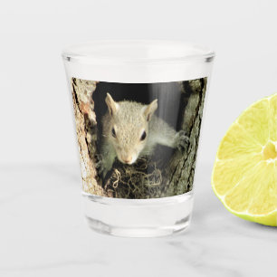 A Shot Verre de tir du nid d'écureuil