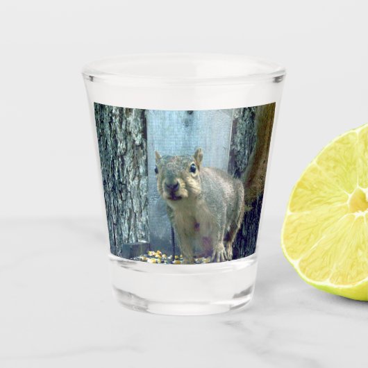 A Shot Verre d'écureuil (Devant)