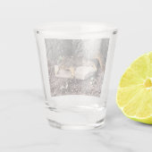 A Shot Verre d'écureuil (Dos)