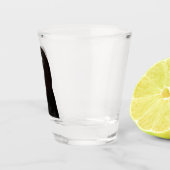 A Shot Verre Tiré Mème Chien Effrayé (Droite)