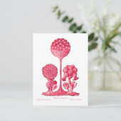 A Slime Mold Briefkaart (Staand voorkant)