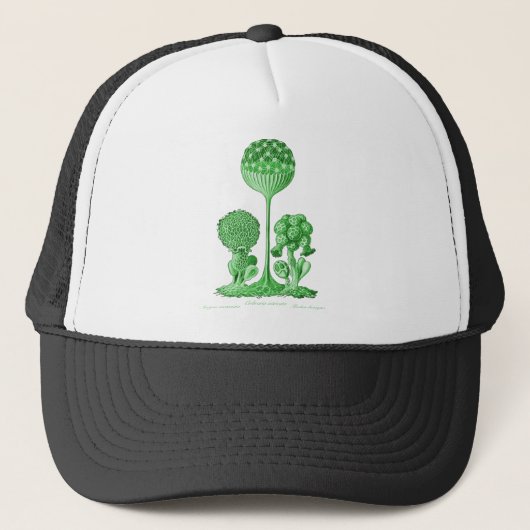 A Slime Mold Trucker Pet (Voorkant)