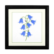 Belle boîte cadeau Bluebells